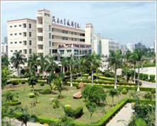 �ɹ�����